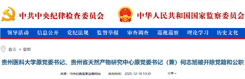 1766395573137744.png 11.png